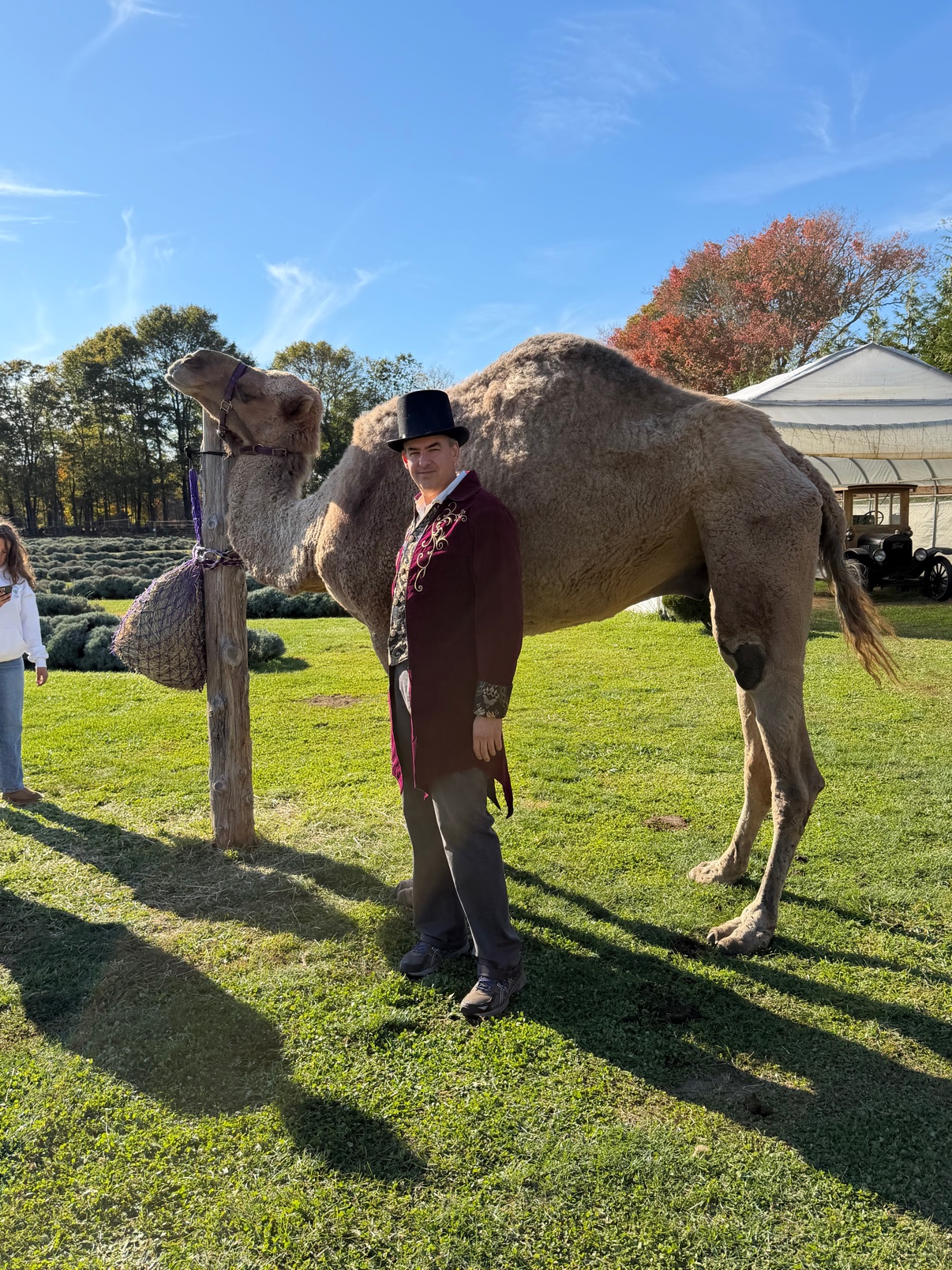 Henry in his top hat beside one of the dromedary camels, the Model T parked behind