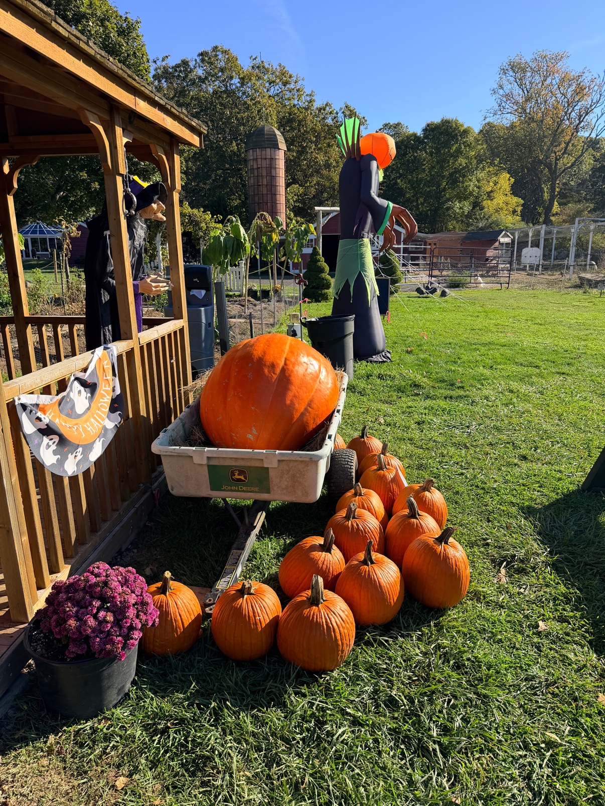 Pumpkins and the giant pumpkin in the John Deere wagon by the shop