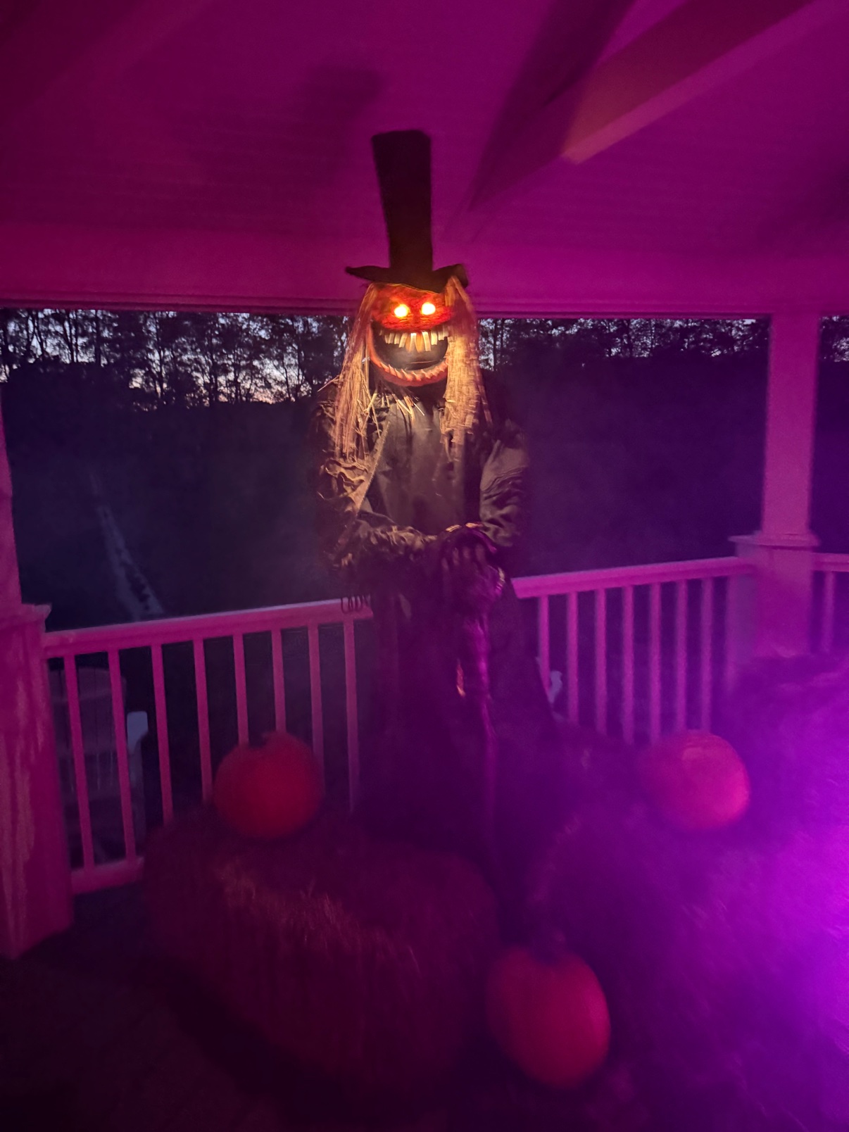 The scarecrow after dark, eyes glowing in the purple light