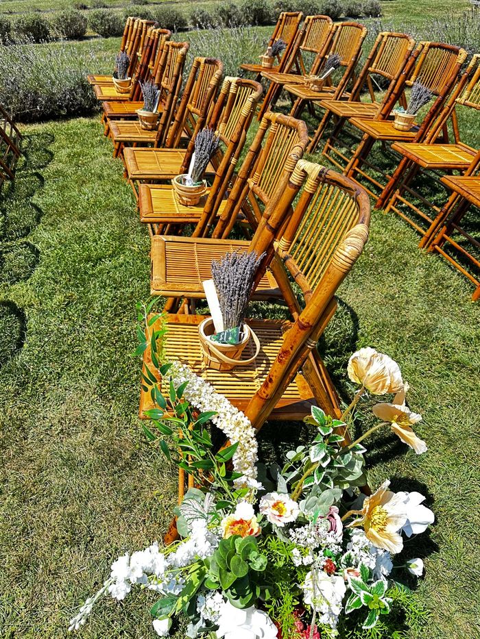 The farm's bamboo folding chairs set for a ceremony, with lavender bundles on the seats